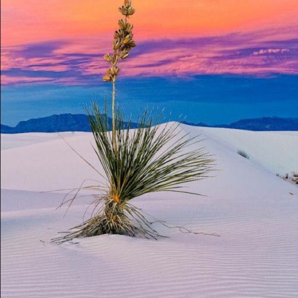 Meet your Posher, Chelle